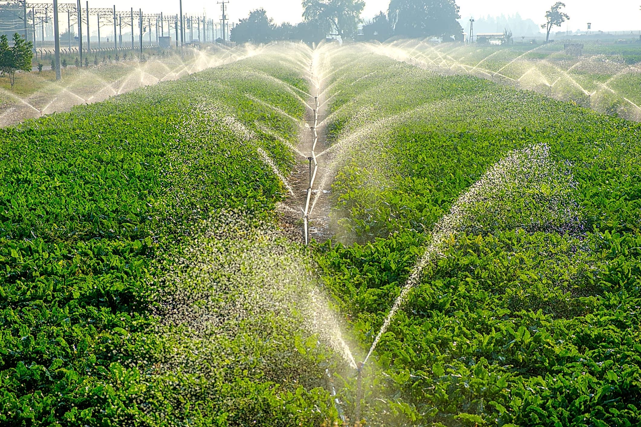 Yağmurlama sistemleri